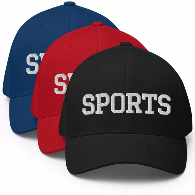 3 Flexfit hats that say SPORTS